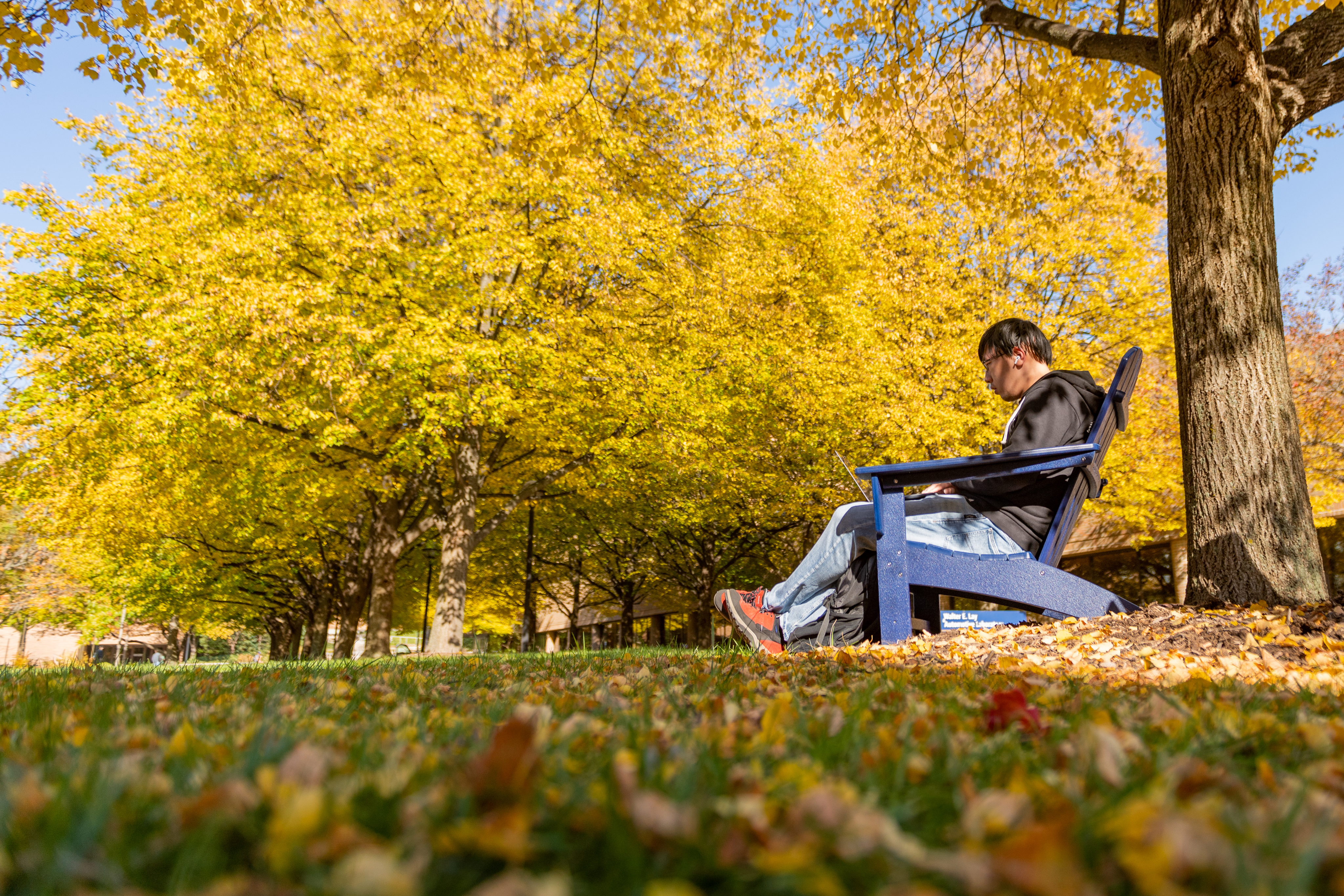 Students collaborating